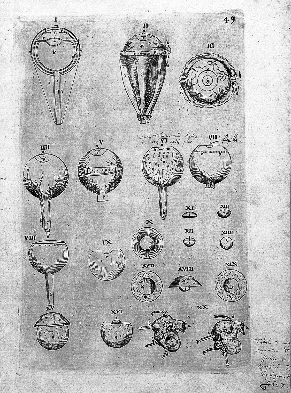 From "Ta Physika" to Contemporary Physics – Section XLIV