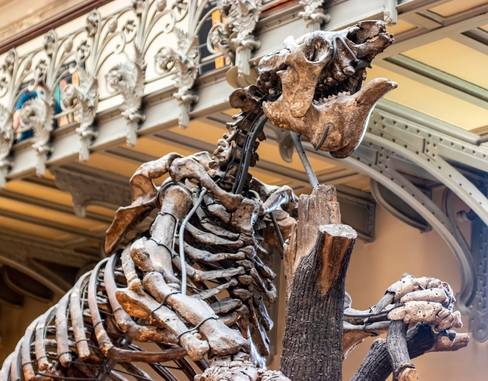 Giant Ground Sloths Reigned Over the Americas Before Humans Came
