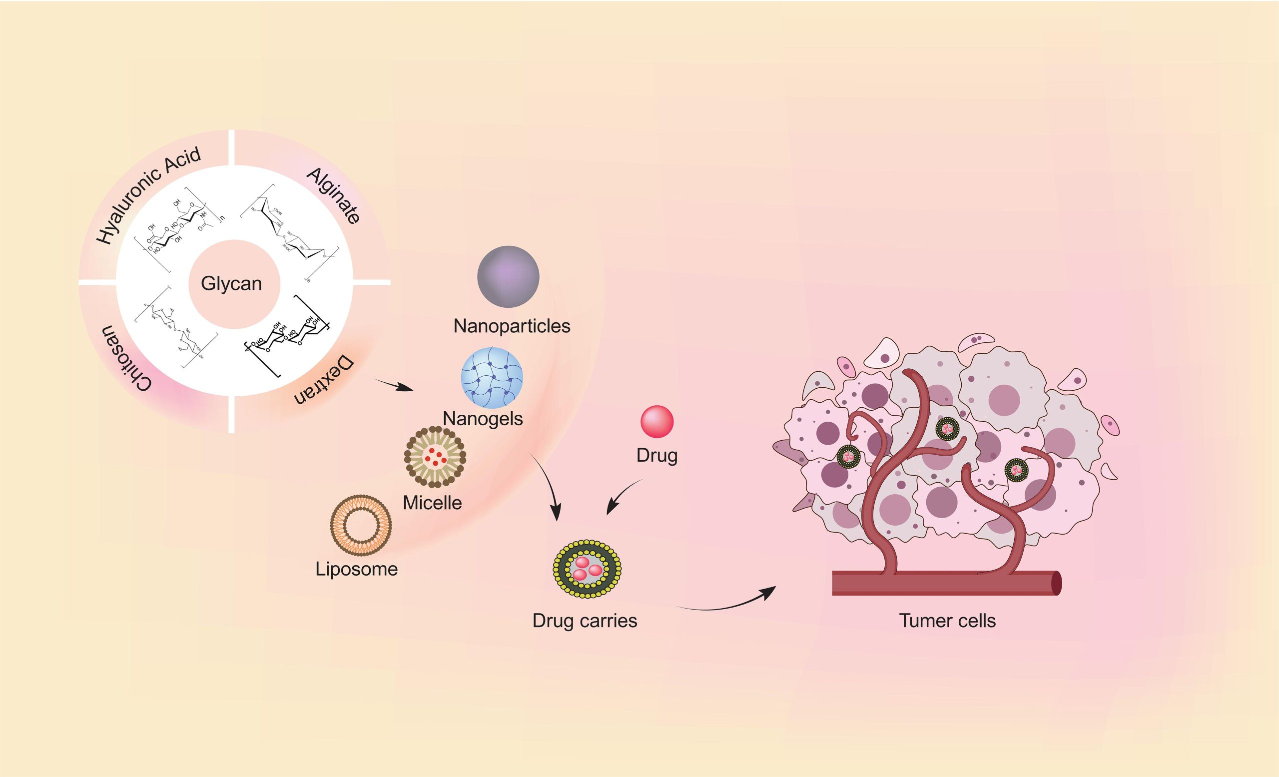 Glycoconjugate-Caged Medications Demonstrate Improved Efficacy in Managing Inflammatory Bowel Disease