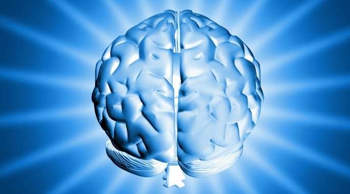How the Brain Might Physically Incorporate and React to Music