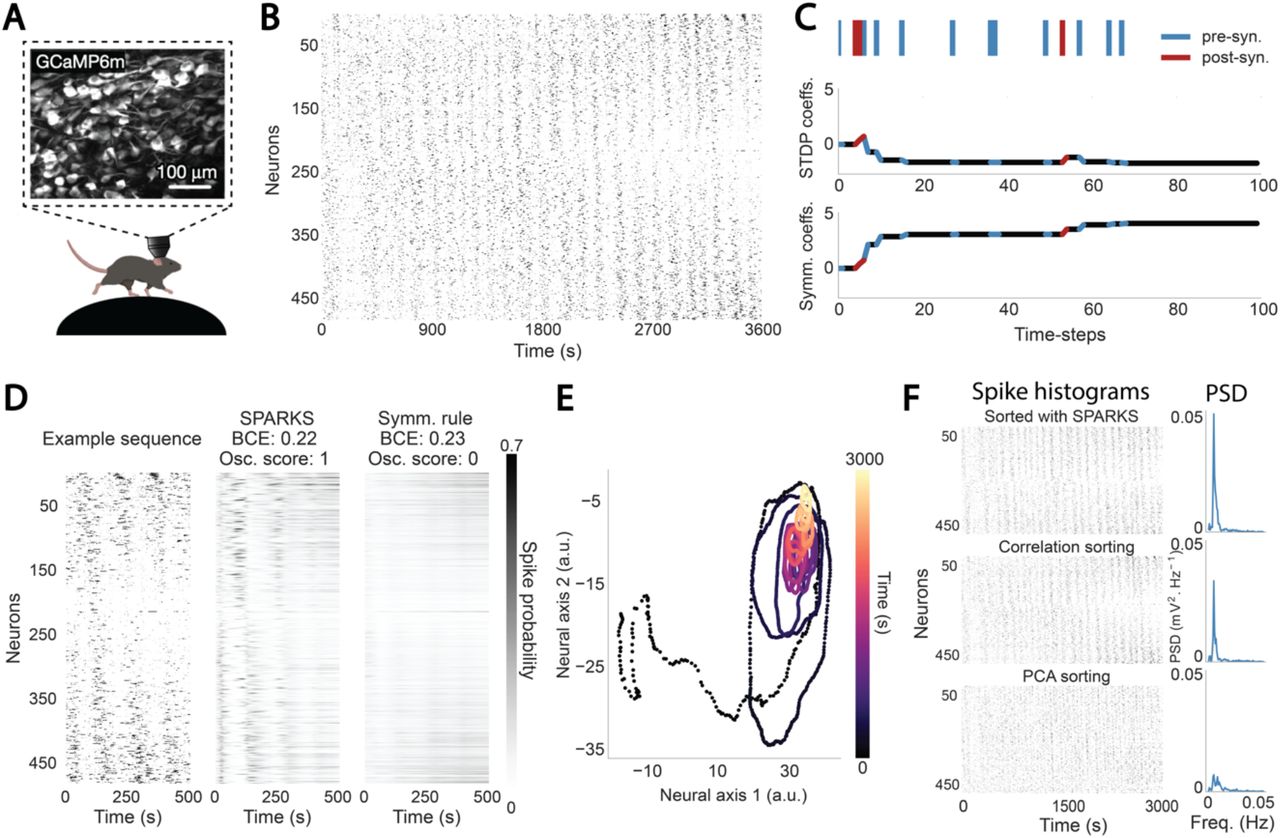 Investigating Animal Senses: Uncovering Sensory Capabilities Beyond the Conventional Five