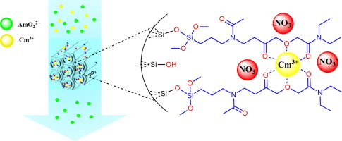 Modifying Oxidation States Could Allow Management of Actinide Bonding