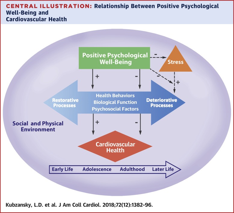 New Research Challenges Connection Between Adolescent Fitness and Lifespan