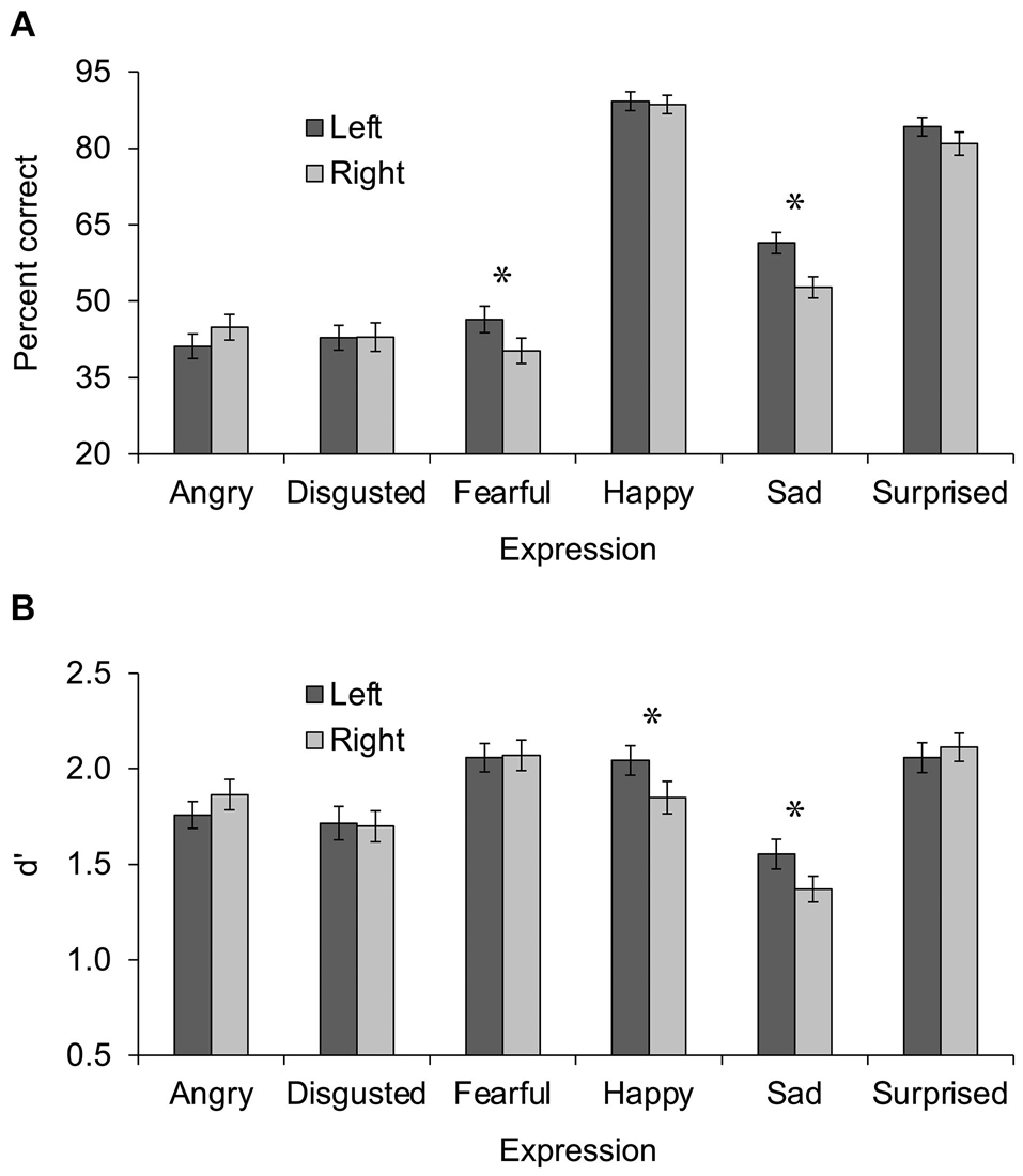 Recent Studies Indicate Psychedelics Could Alter Dominant Brain Hemisphere Activity