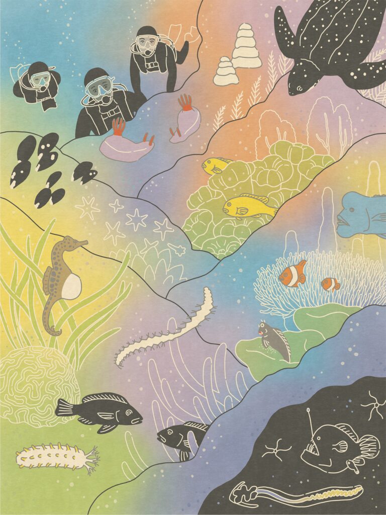 Research Indicates Birds Create Enduring Social Connections Beyond Family Units