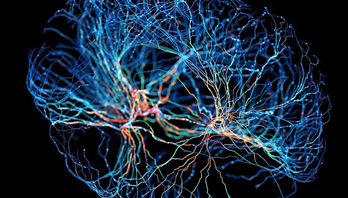 Researchers Discover Brain Area That Combines Various Senses
