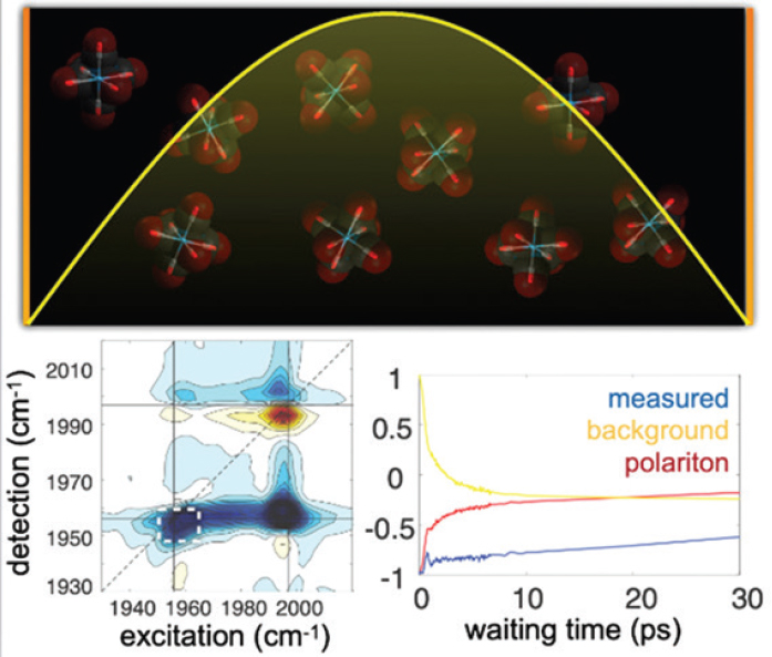 Scientists Achieve Successful Error Correction in High-Dimensional Quantum States for the First Occasion
