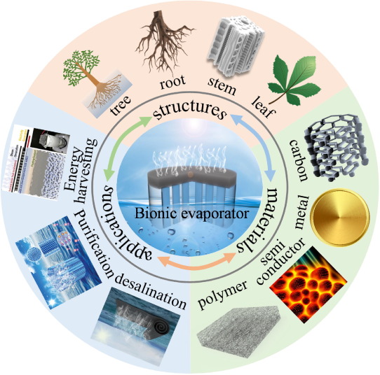Solar-Powered Wood-Derived Material Effectively Captures Moisture from the Atmosphere