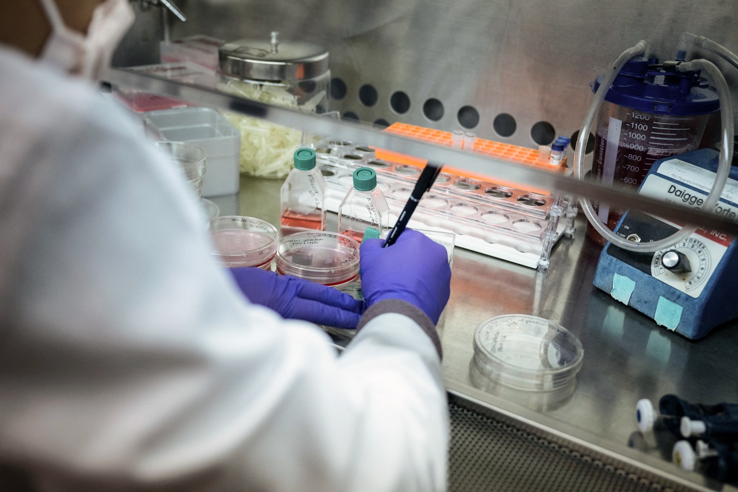 Trump's Suggested Budget Features Significant Reductions in Science and Research Financing