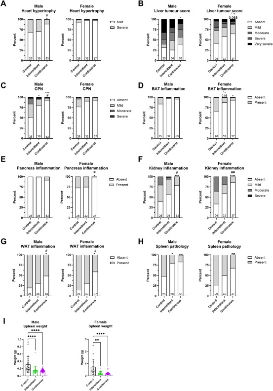 Weekly Rapamycin Administration Enhances Muscle Mass and Alleviates Pain in Older Women