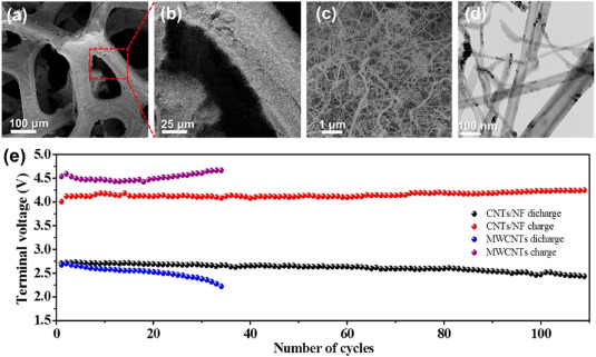 Caterpillars Act as a Cutting-Edge Resource for Synthetic Chemists to Generate Oxygen-Doped Nanocarbons