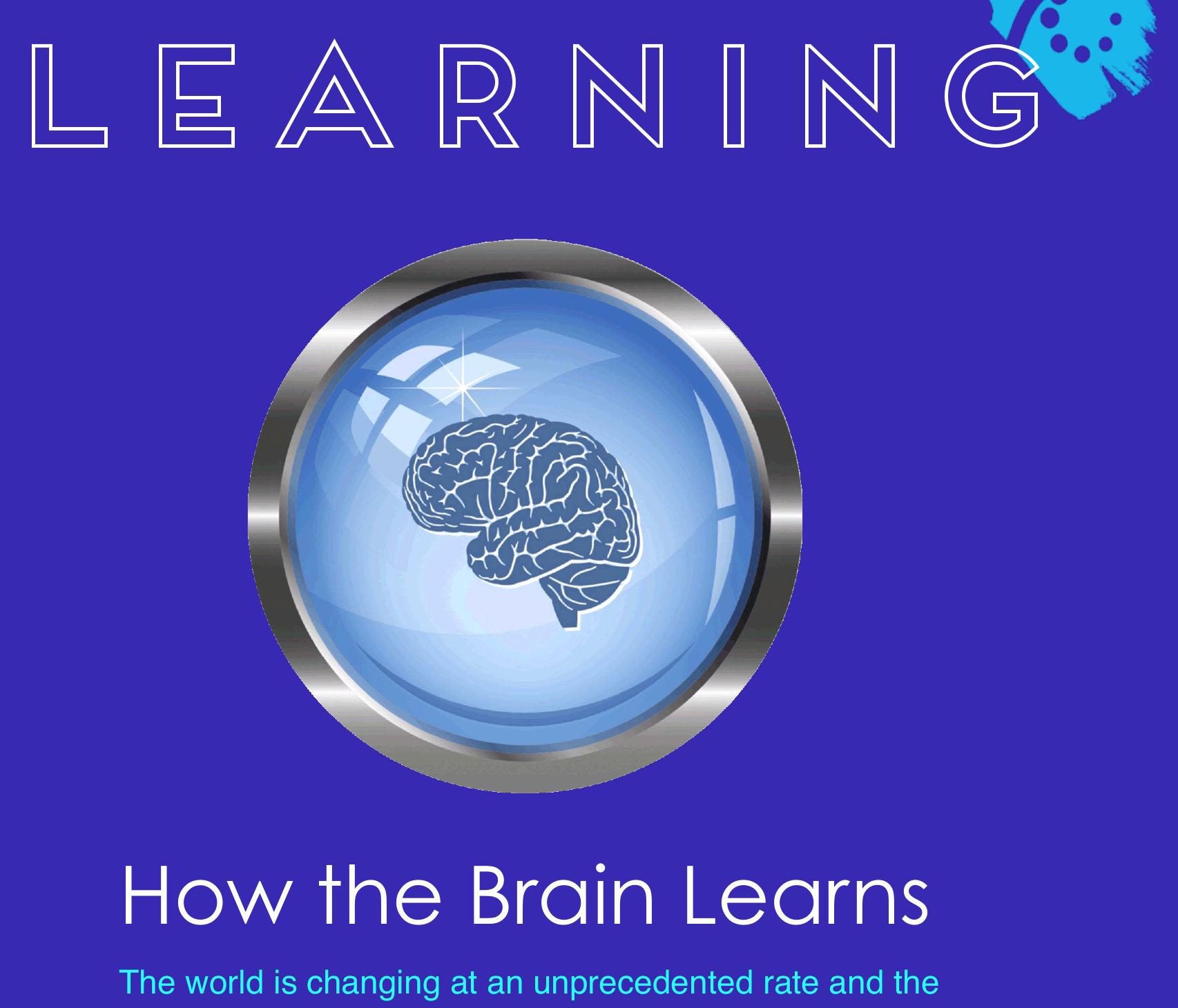 The Reward System of the Brain Operates Like a GPS for Delights