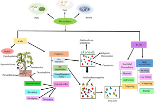 Utilizing RNA as an Alternative to Chemical Pesticides