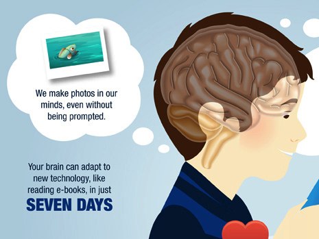 Your Brain Monitors Rewards Through a GPS System Based on Incentives