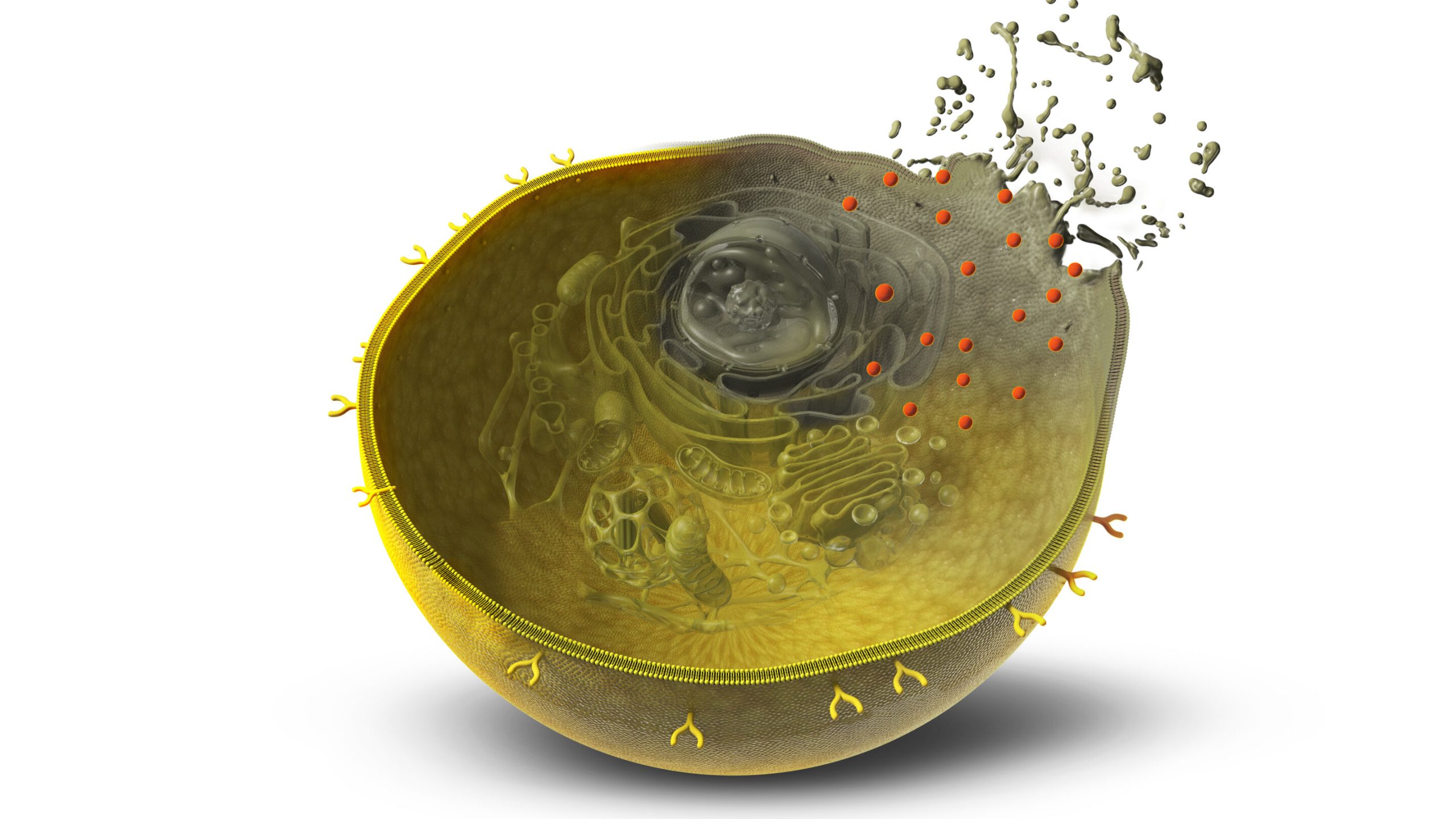 AI Method Creates Tailored Binders for Hard-to-Target Proteins