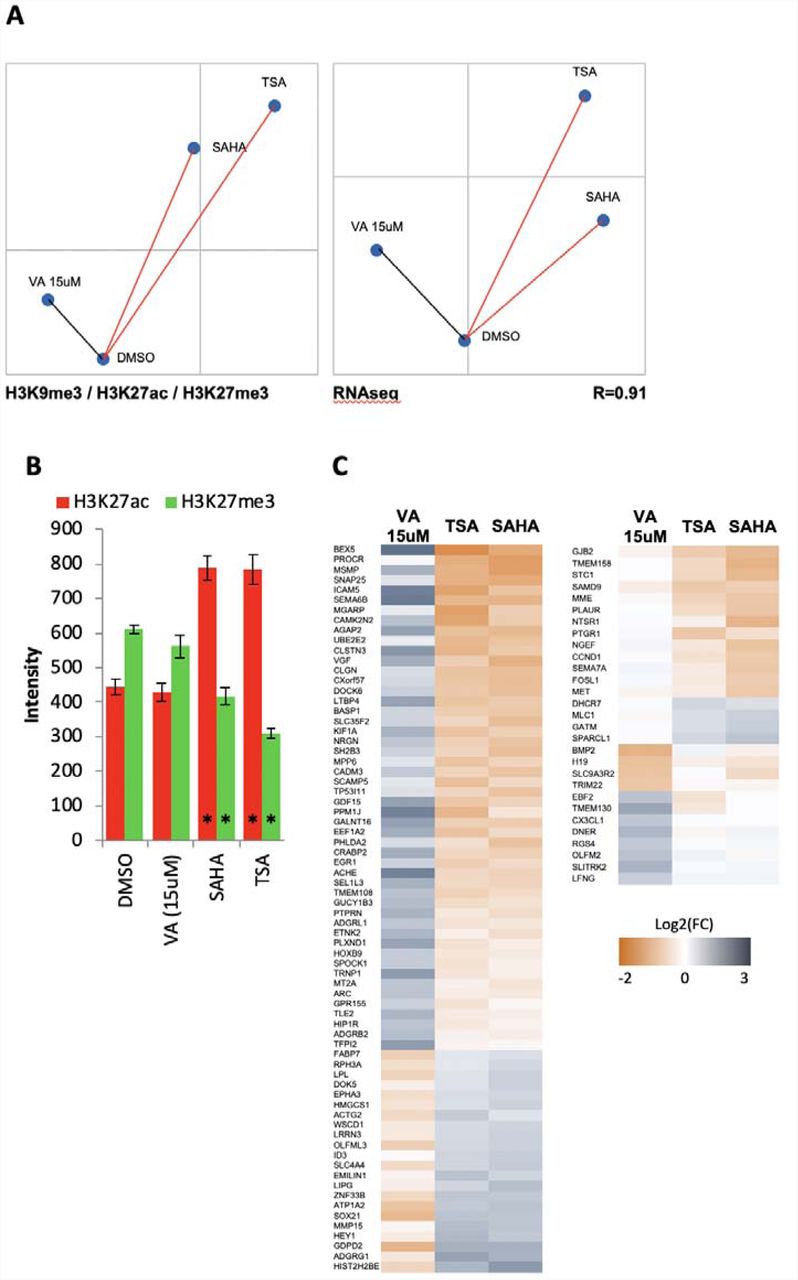 DNA Barcoding in Drug Discovery Screens Might Miss Possible Treatments