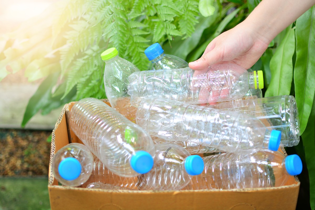 Engineered Bacterium Transforms Plastic Bottle Waste into Paracetamol