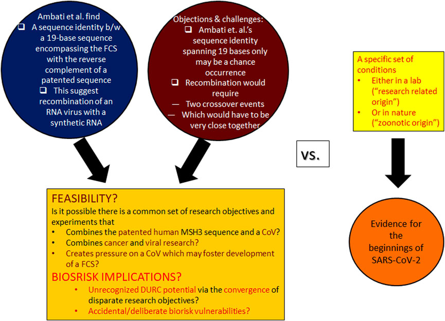 Grasping the Objectives and Aims of the Synthetic Human Genome Initiative