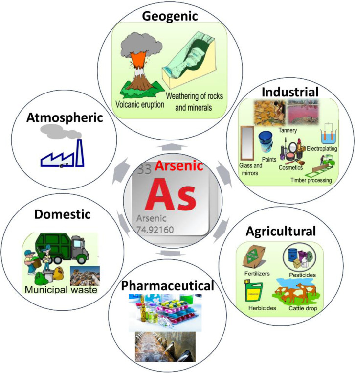 "Journal Withdraws Controversial Arsenic Life Research 15 Years After Publication"