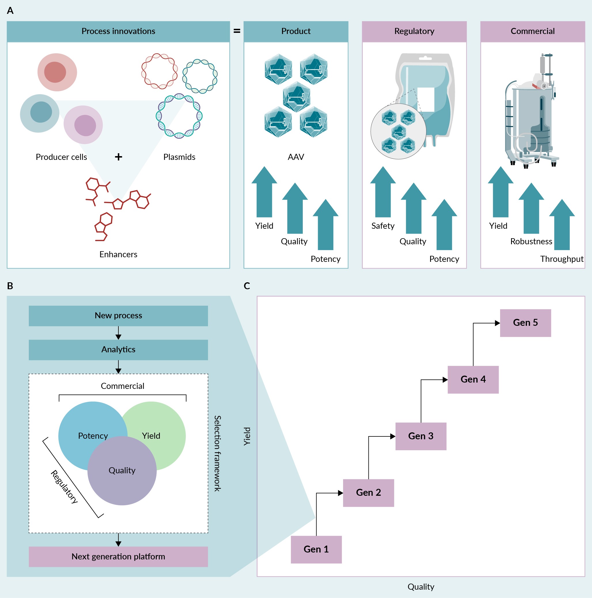 Sarepta Gene Therapy Fatalities Highlight Difficulties in Addressing Rare Diseases