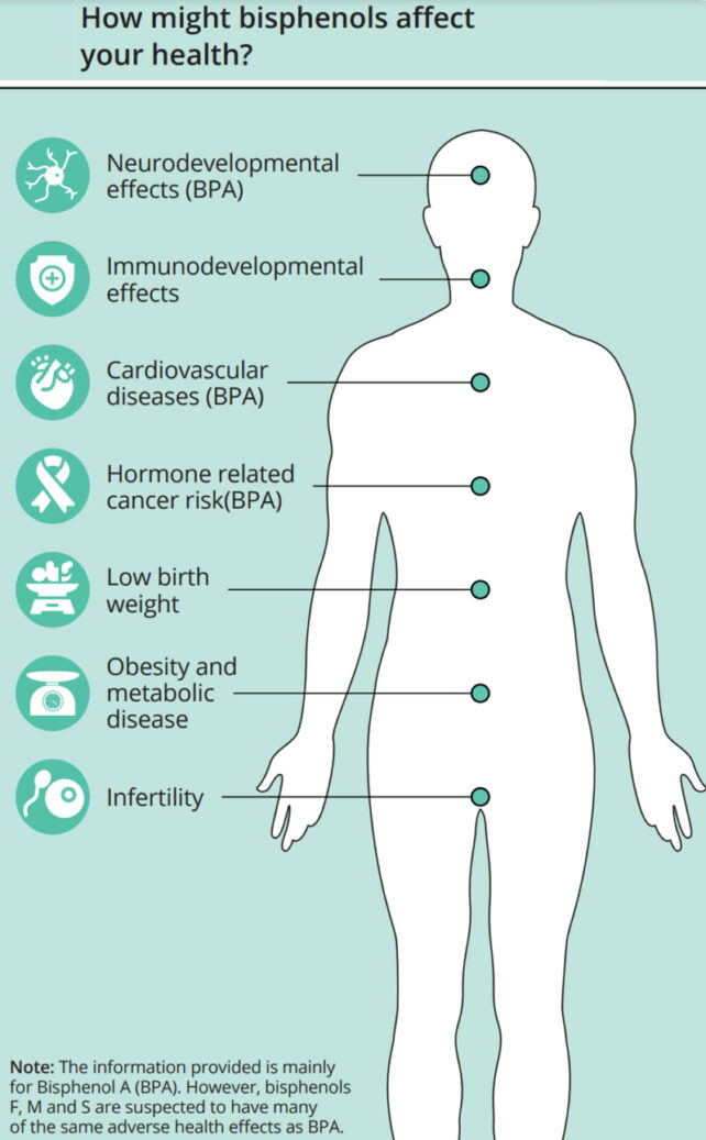 The Health Hazards Linked to Bisphenol A (BPA)