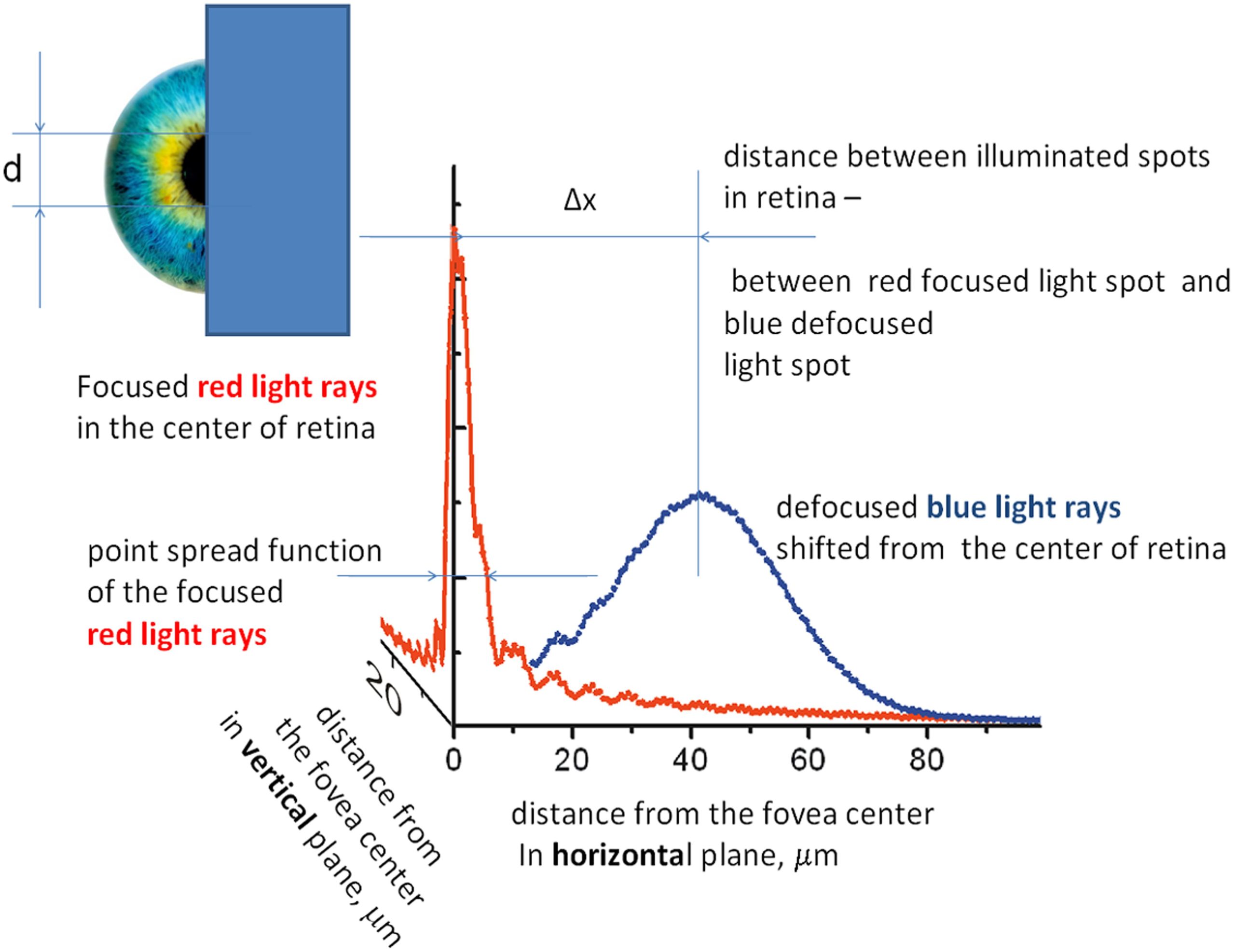 The Occurrence of Chromostereopsis: Depth Perception Triggered by Color