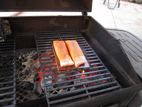 The Possible Health Hazards of Carcinogenic Compounds in Charcoal-Grilled Meat