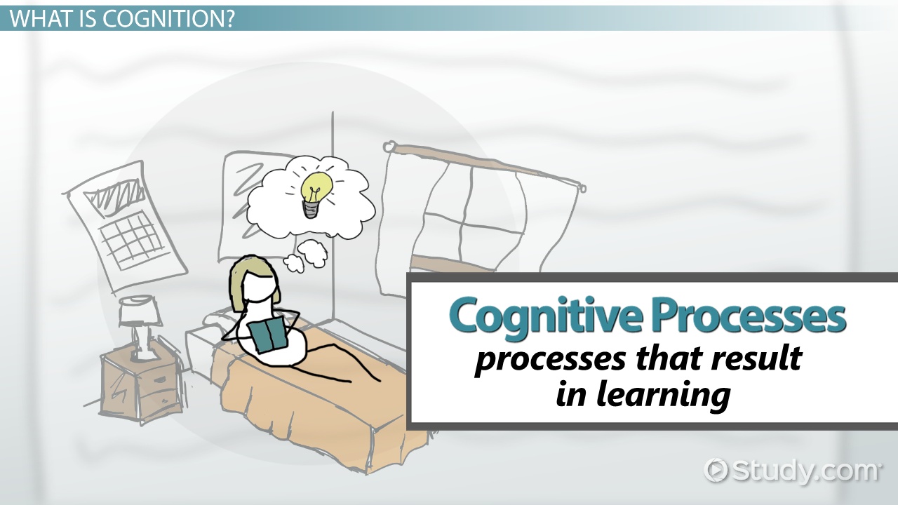 The Processes of Human Recall