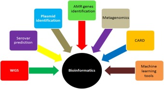 AI-Created Antibiotics Aim at Bacteria Using Innovative Techniques