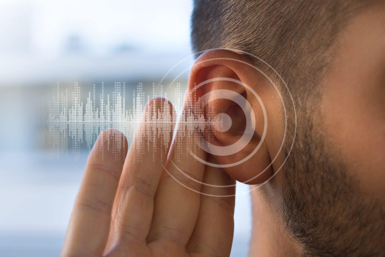 Discovering Animal Perceptions: More than Vision, Auditory, Olfactory, Gustatory, and Tactile