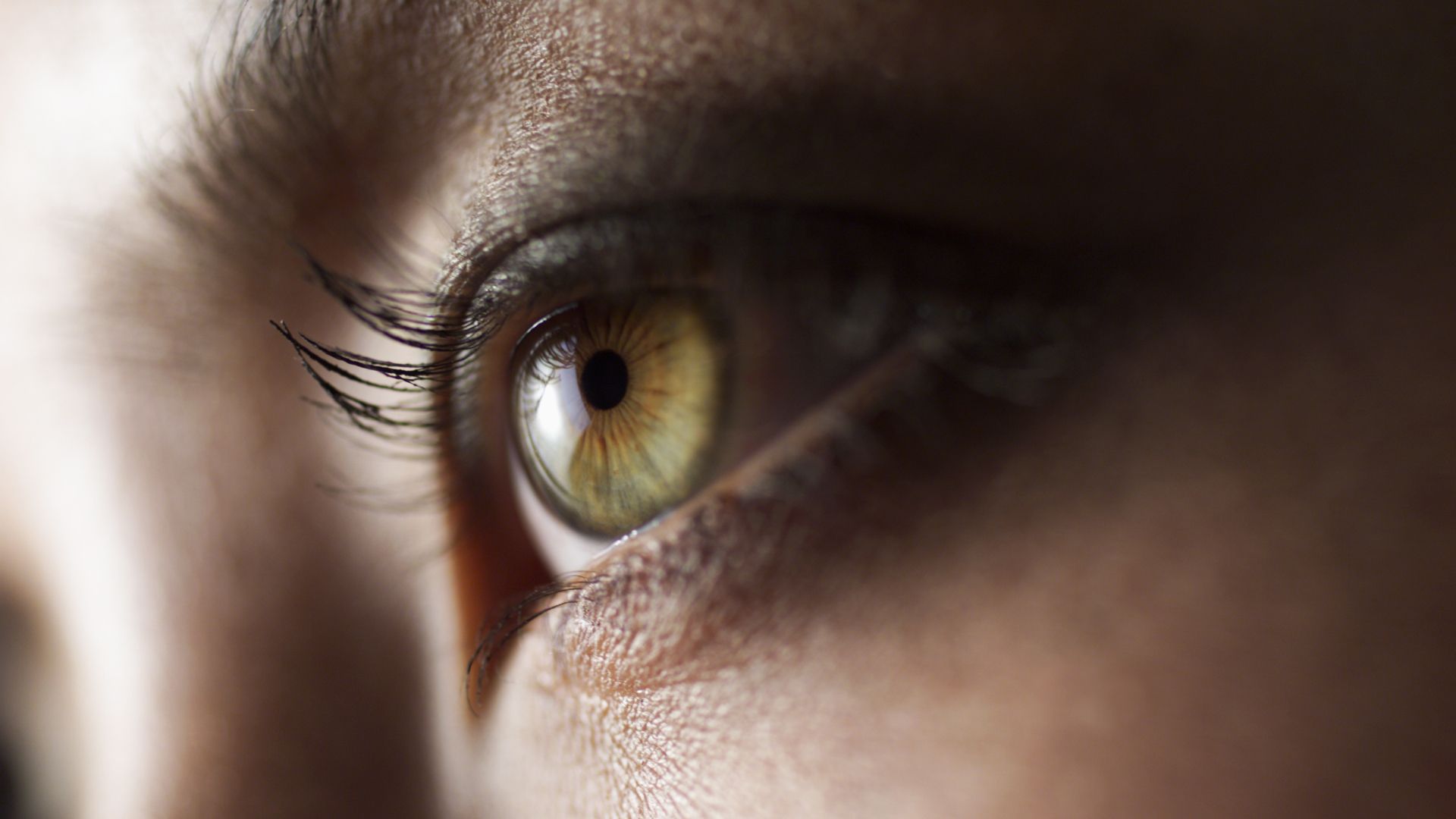 Discovering Remarkable Animal Senses Beyond the Fundamental Five
