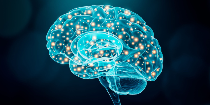 Investigating the Basics of Psychology: Unraveling the Human Mind