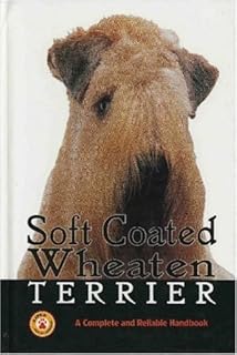 An Dependable Handbook