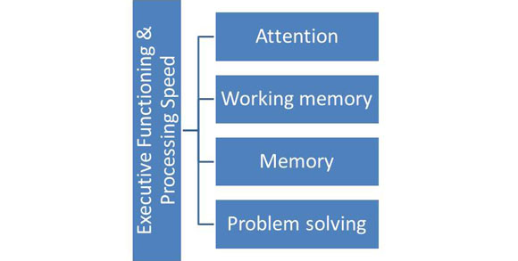 Comprehending the Functioning of Memory