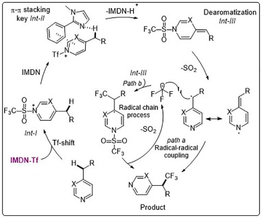 Effective One-Pot Process Converts Indoles into Benzimidazoles through Atom Exchange Chemistry