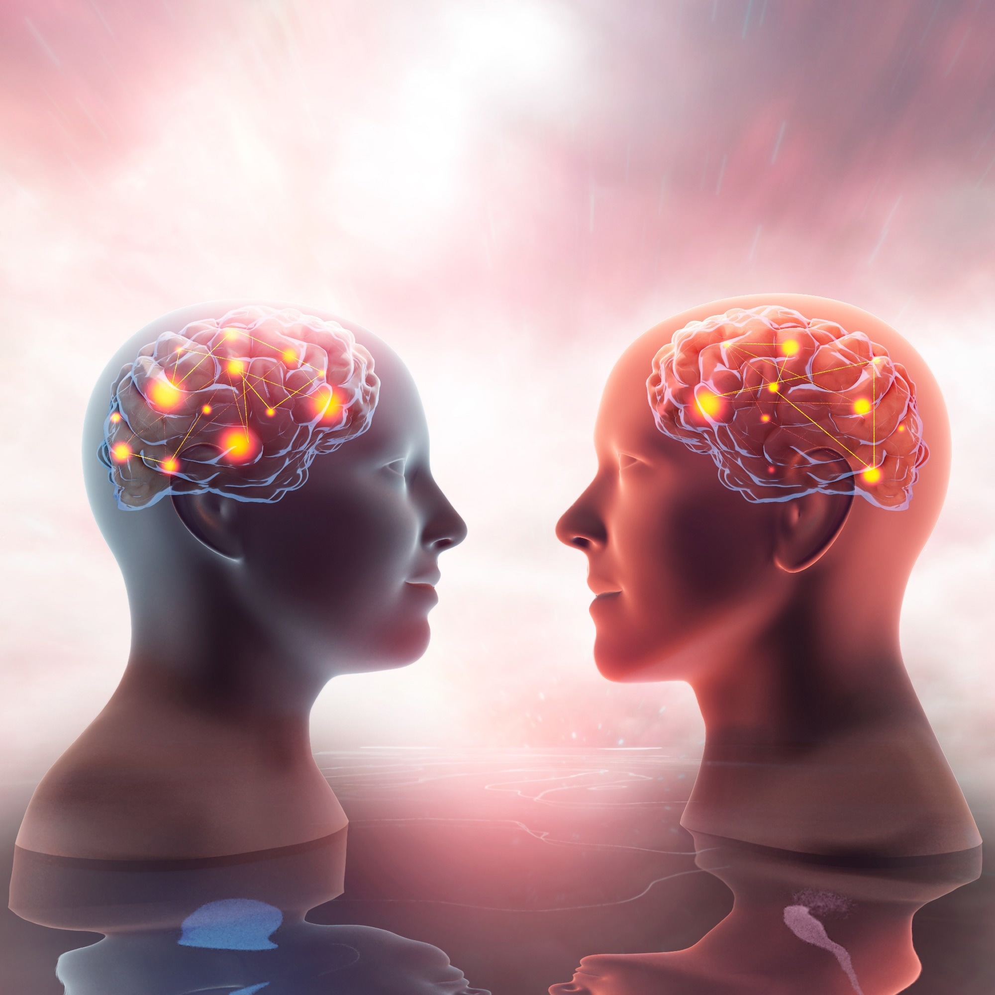 Gut Microbe Enhances the Addictive Capacity of Amphetamines