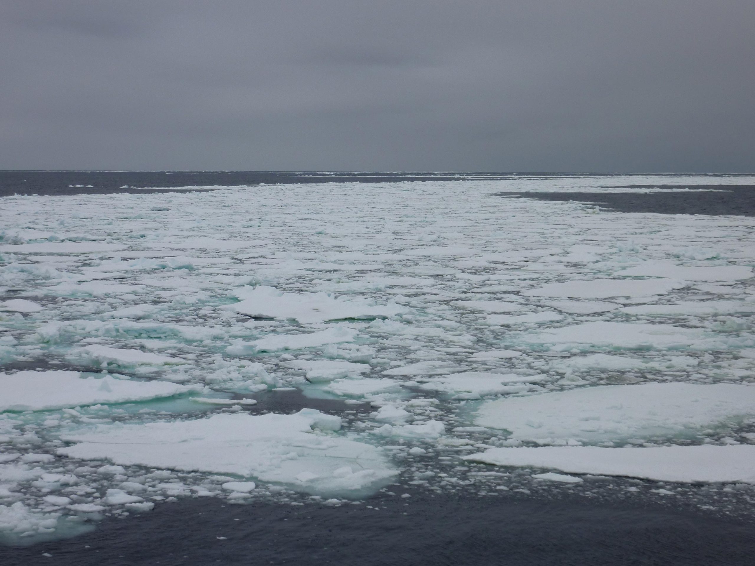 Arctic Ice Thaw Uncovers Surprising Origin of Existence