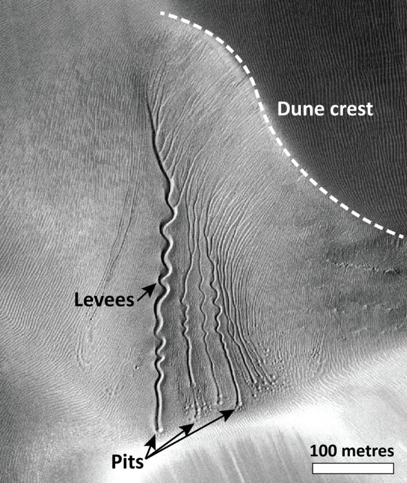 Carbon Dioxide Ice Bricks Shape Arched Channels on Martian Sand Dunes