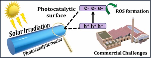 Floating Photocatalyst Harnesses Sunlight to Produce Radicals for Quick Water Purification