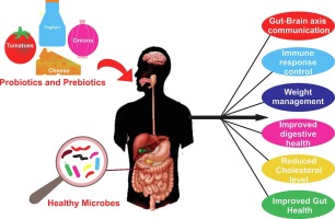 Kefir Enriched with Fiber Alleviates Inflammation More Efficiently than Omega-3