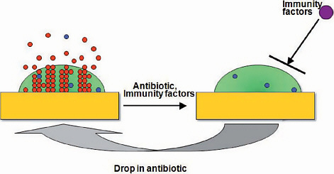Previously Unidentified Antibiotic Precursor Conquers MRSA with 100-Times Efficiency