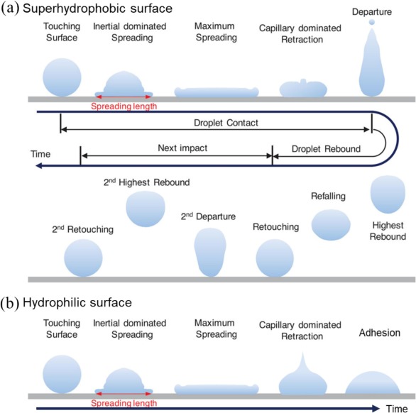 Scientists Attain Uninterrupted Rebounding of Droplets