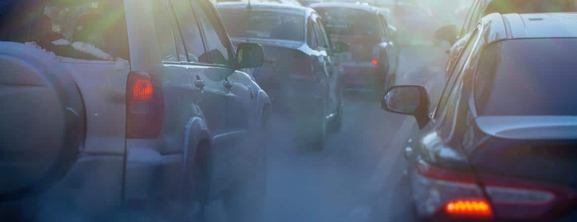 The Influence of Prenatal Air Pollution on the Rates of Brain Development in Newborns