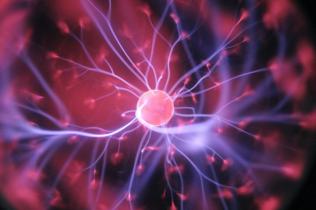 The Processes of Memory Preservation