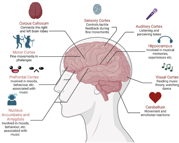 Utilizing Light and Sound Therapy to Postpone Alzheimer's Advancement for Two Years