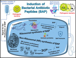 AI Speeds Up Antibiotic Creation by Two Years While Maintaining Beneficial Gut Bacteria