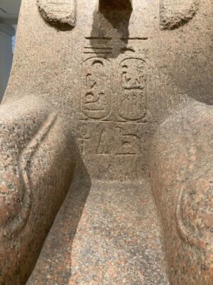 Archaeologists Discover a Millennium of Indigenous Endurance and Adjustment in Bolivia's Amazon