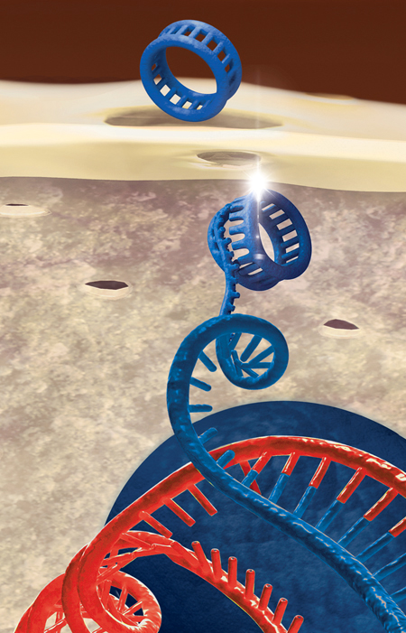 CRISPR: An Innovative Tool for Genetic Modification