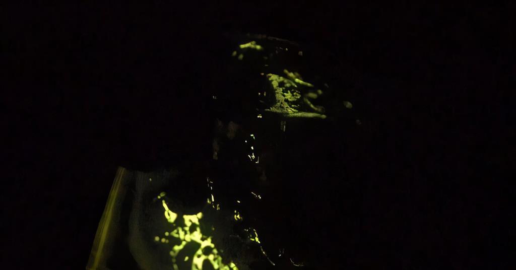 Crystal-free Mechanoluminescence Innovations