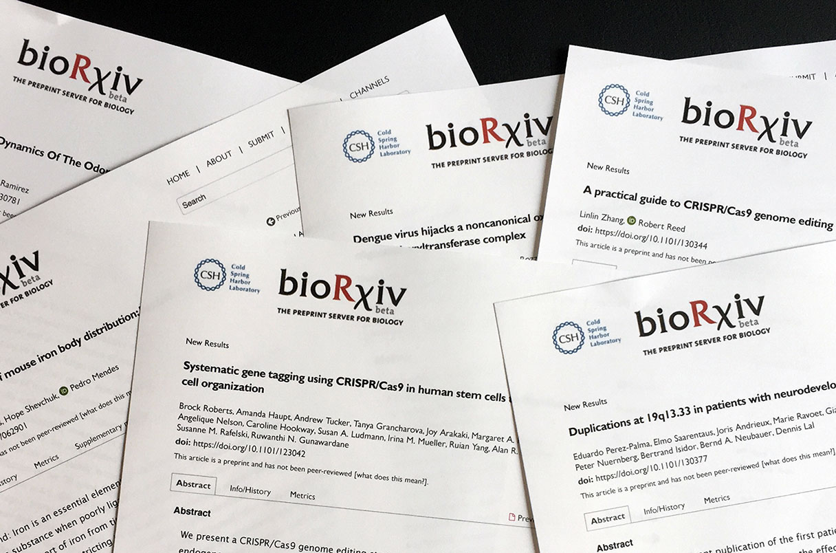 Key Components of Open Science: A Summary of Preprints